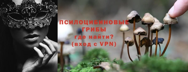 экстази Алексин