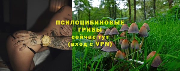 экстази Алексин