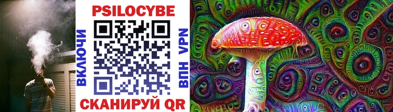 Псилоцибиновые грибы Psilocybe  Кизел 